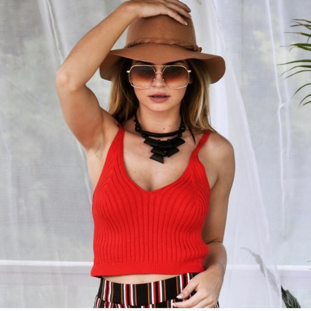 🛍HP🛍🍒 Just Bitten Cherry Red Knit Crop 🍒